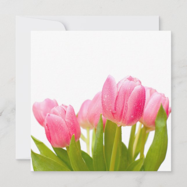 Pink Tulips (Front)