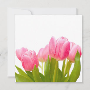 Pink Tulips