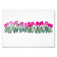 Pink Tulips 7"x 5", Kodak Prof Photo Paper (Satin)