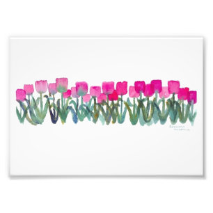 Pink Tulips 7"x 5", Kodak Prof Photo Paper (Satin) Print