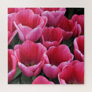 Pink tulips beauty jigsaw puzzle