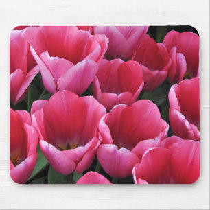 Pink tulips beauty mouse pad