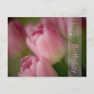 Pink Tulips Birthday Postcard