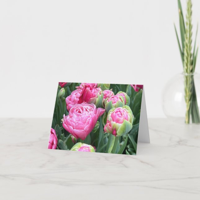 Pink Tulips Blank Note Cards (Front)