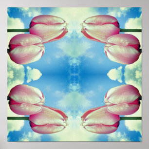 Pink Tulips Blue Sky And White Clouds Abstract Poster