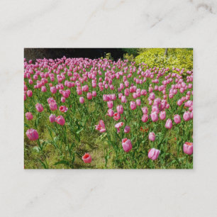 Pink Tulips Business Card