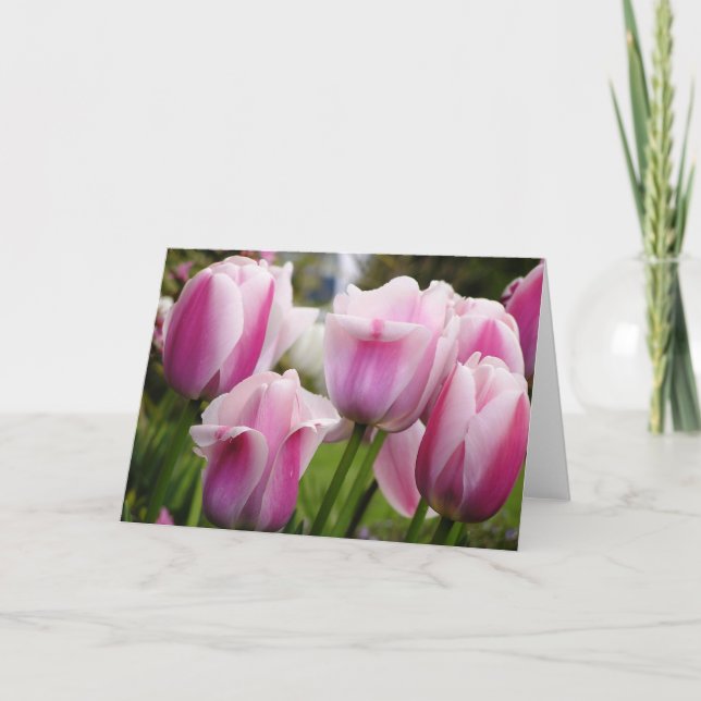 Pink Tulips card (Front)