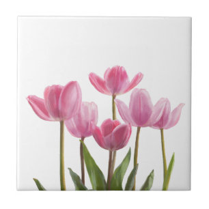 Pink Tulips Ceramic Tile