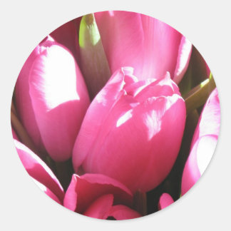 Pink Tulips Classic Round Sticker
