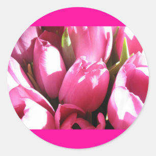 Pink Tulips Classic Round Sticker
