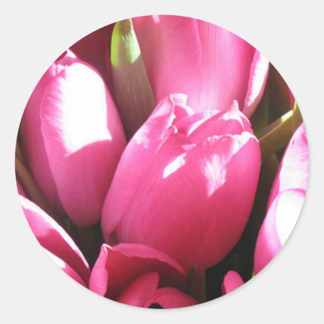 Pink Tulips Classic Round Sticker (Front)