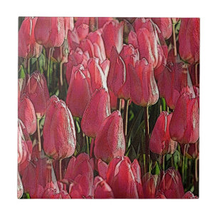 Pink Tulips Floral Ceramic Tile