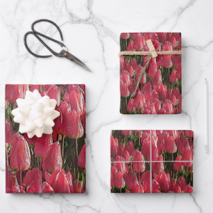 Pink Tulips Floral Wrapping Paper Sheet