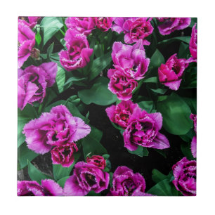 Pink tulips flowers ceramic tile