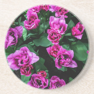 Pink tulips flowers coaster