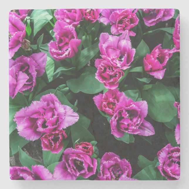 Pink tulips flowers stone coaster (Front)