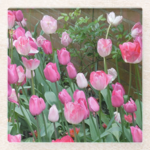 Pink Tulips Glass Coaster