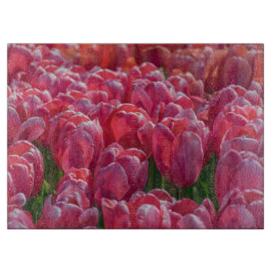 Pink tulips glass cutting board