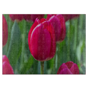 Pink tulips glass cutting board