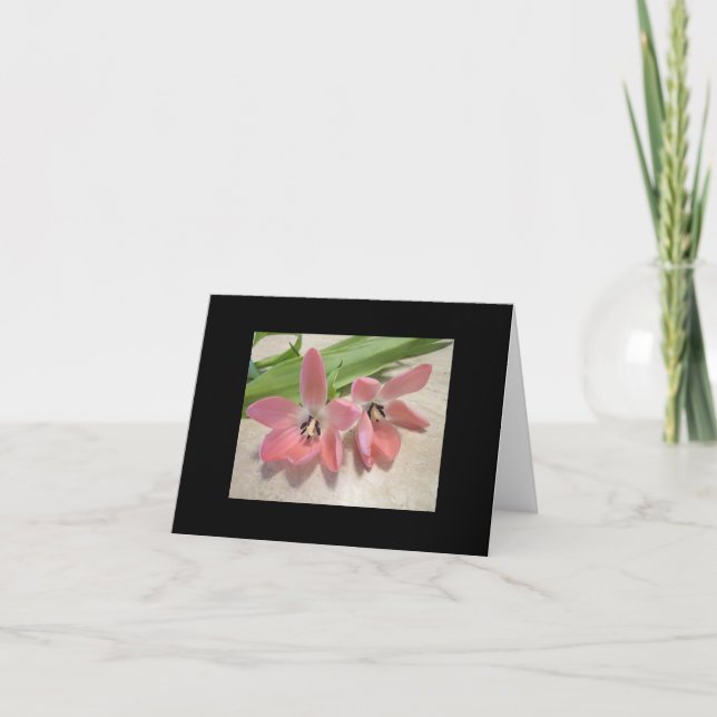 Pink Tulips Holiday Card (Front)