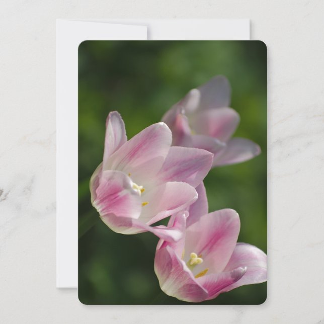 Pink tulips invitation (Front)