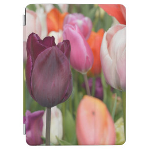 Pink Tulips  iPad Air Cover