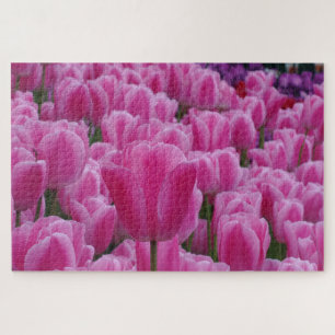 Pink Tulips Jigsaw Puzzle
