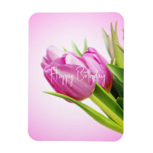Pink tulips magnet