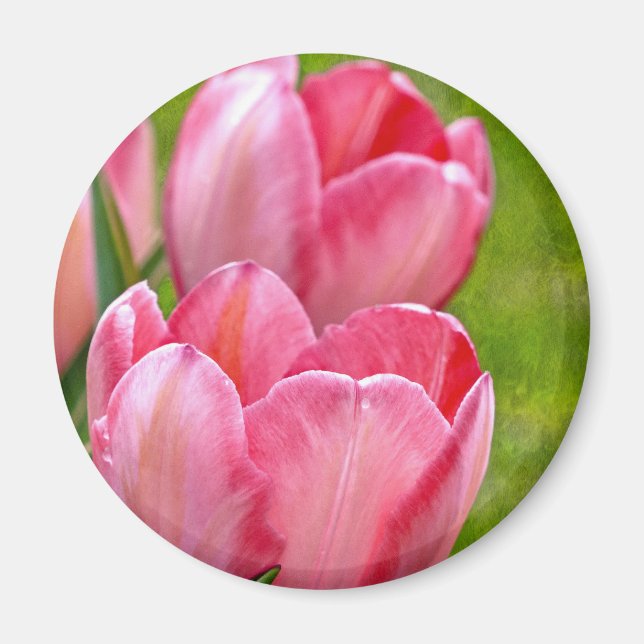 Pink Tulips Magnet (Front)