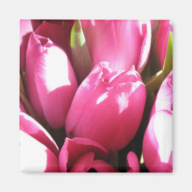 Pink Tulips Magnet (Front)