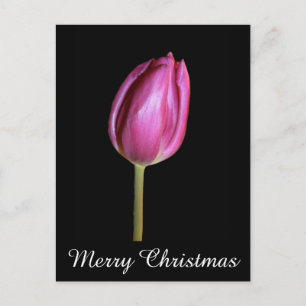 Pink Tulips Merry Christmas Floral Flower Photos Holiday Postcard