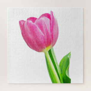 Pink tulips on white jigsaw puzzle