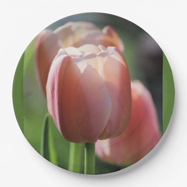 Pink Tulips Paper Plate (Front)