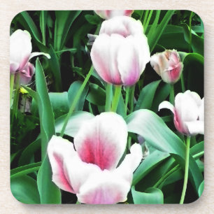 Pink Tulips Picture Coaster