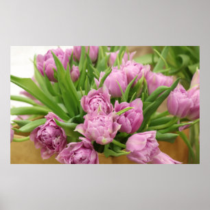 Pink Tulips Poster