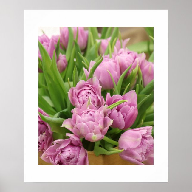 Pink Tulips Poster (Front)