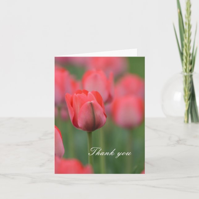 Pink Tulips Thank You Card (Front)