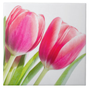Pink Tulips with Green Leaves Photo Ceramic Tile