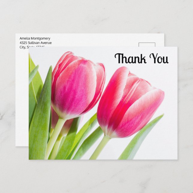 Pink Tulips with Green Leaves Photo Thank You Postcard (Front/Back)