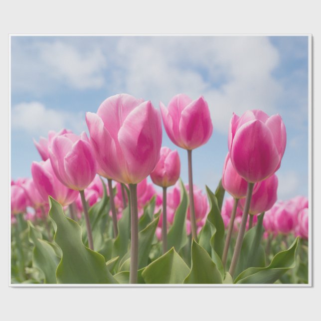Pink Tulips Wrapping Paper  (Flat)