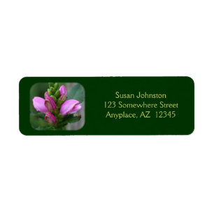 Pink Turtlehead Flower Address Label Return Address Label