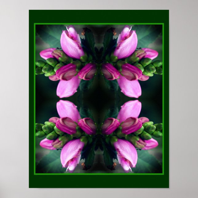 Pink Turtlehead Flower Close Up Mirror Abstract Poster (Front)