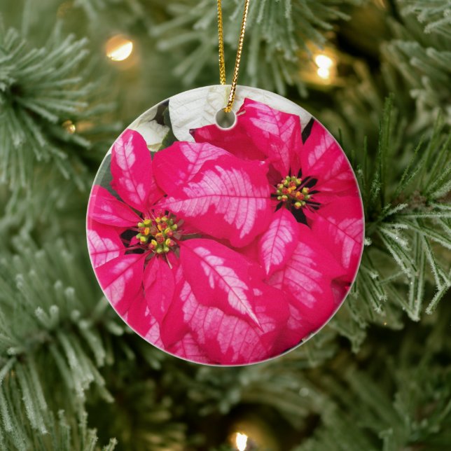 Pink Variegated Poinsettias Holiday Ceramic Ornament (Tree)