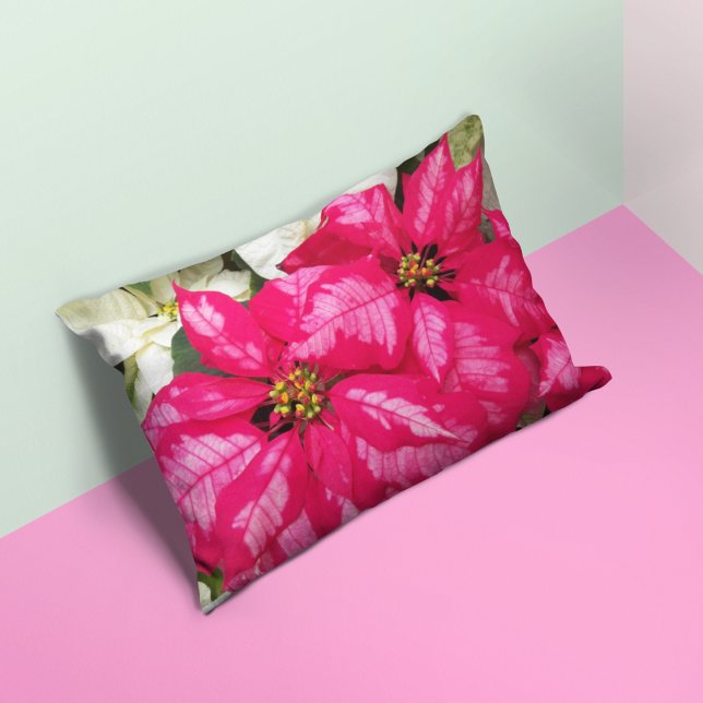 Pink Variegated Poinsettias Holiday Decorative Cushion (In Situ)