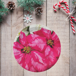 Pink Variegated Poinsettias Holiday Paper Plate