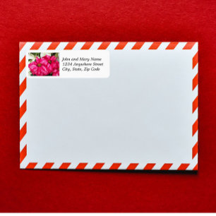 Pink Variegated Poinsettias Return Address Return Address Label