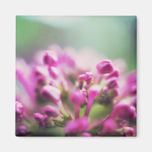 Pink vintage macro bokeh flower magnet