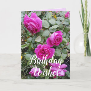 Pink Vintage Rose Flower Floral Birthday Card