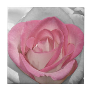 Pink vintage rose print ceramic tile