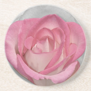 Pink vintage rose print coaster